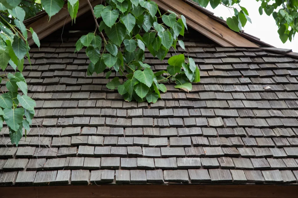 Cedar Roofing Near You | All Roofs Cedar Shake