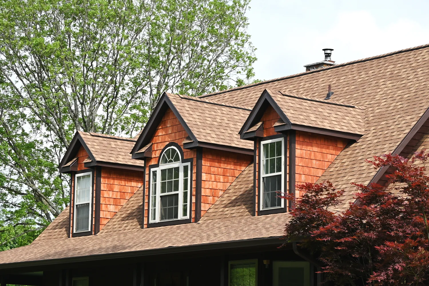 Cedar Roofing Near You | All Roofs Cedar Shake